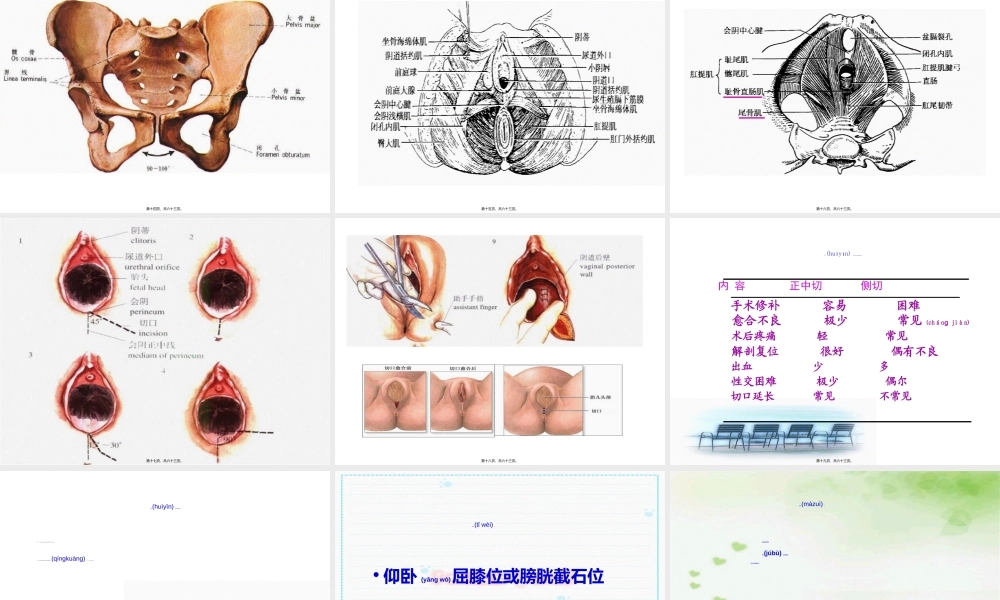 2022年医学专题—会阴切开缝合术ObGy(1).ppt