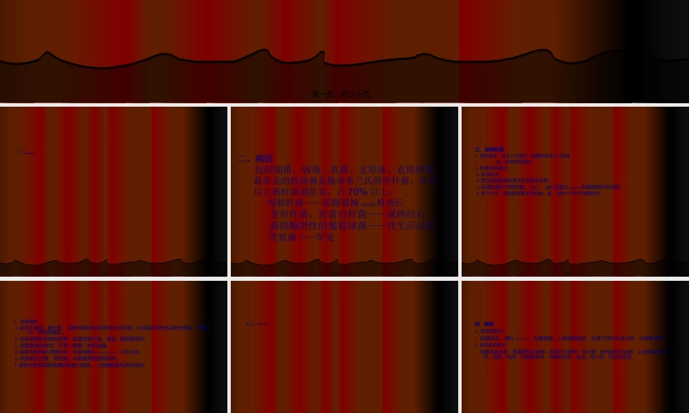 2022年医学专题—尿路感染2(1).ppt