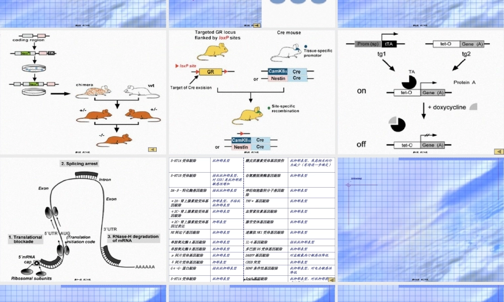 2022年医学专题—抑郁症的动物模型(1).ppt
