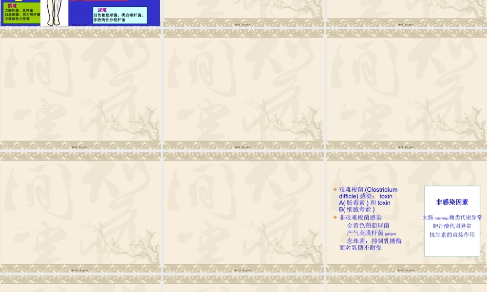 2022年医学专题—抗生素相关性腹泻(1).ppt