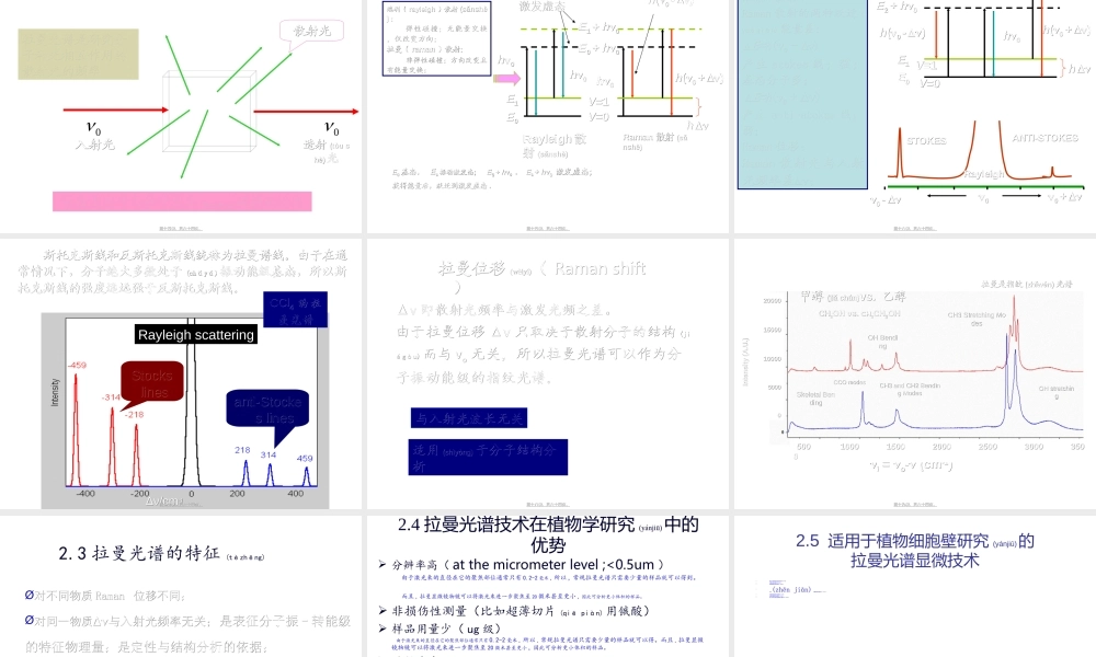 2022年医学专题—拉曼光谱技术在植物细胞壁中的应用以及展望(1).ppt