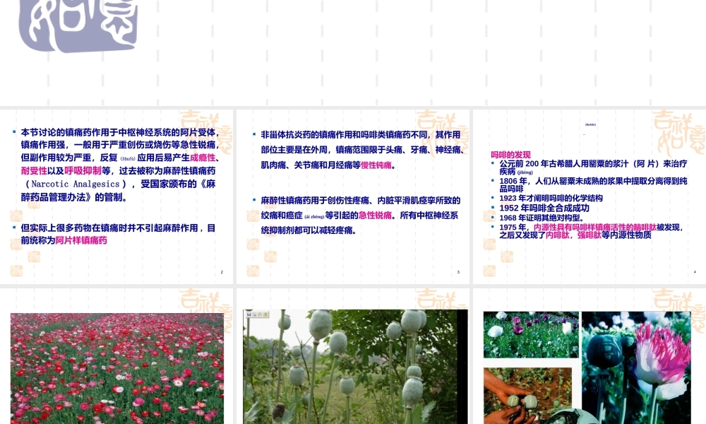 2022年医学专题—第三章-镇痛药(1).ppt