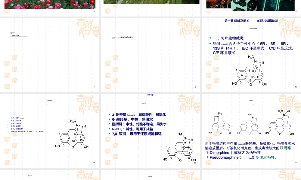 2022年医学专题—第三章-镇痛药(1).ppt