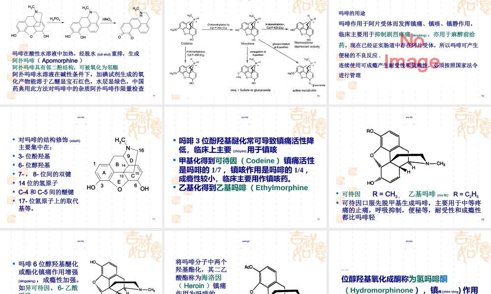 2022年医学专题—第三章-镇痛药(1).ppt