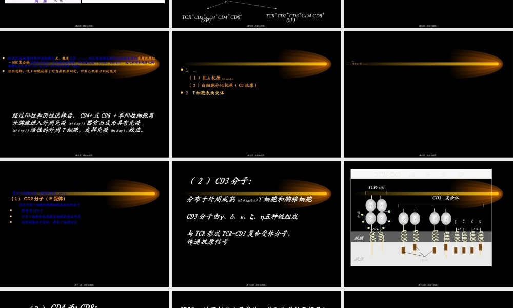 2022年医学专题—第五章-免疫细胞(1).ppt