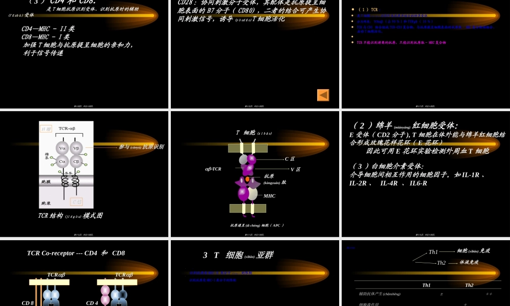 2022年医学专题—第五章-免疫细胞(1).ppt