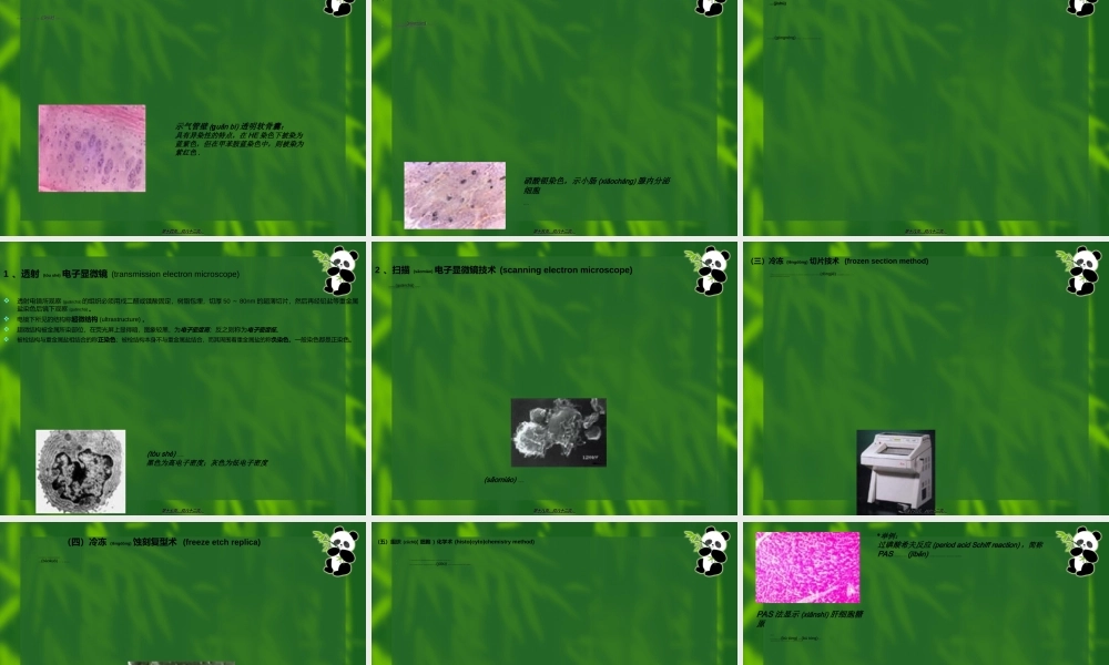 2022年医学专题—绪论及细胞-组织胚胎学(1).ppt