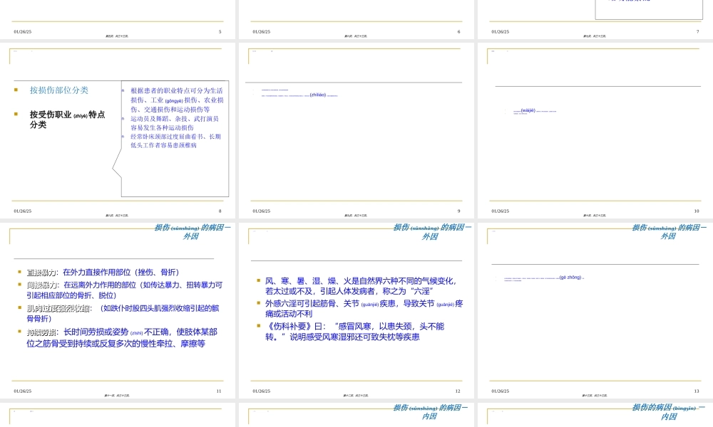 2022年医学专题—损伤分类与病因病机.ppt