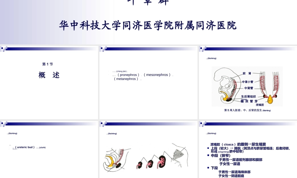 2022年医学专题—第59章-泌尿生殖系统畸形(叶章群).ppt