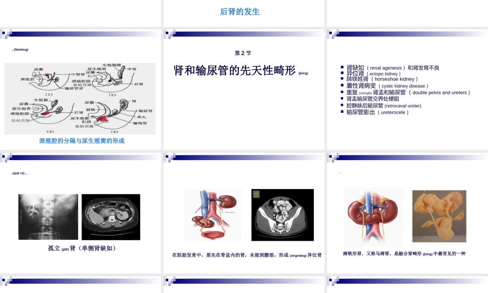 2022年医学专题—第59章-泌尿生殖系统畸形(叶章群).ppt