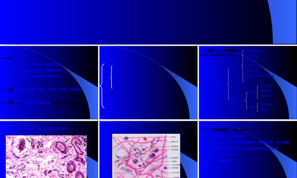 2022年医学专题—结绨组织-与--软骨.ppt
