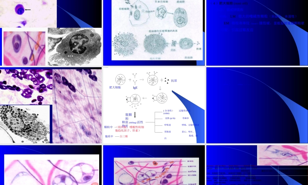 2022年医学专题—结绨组织-与--软骨.ppt