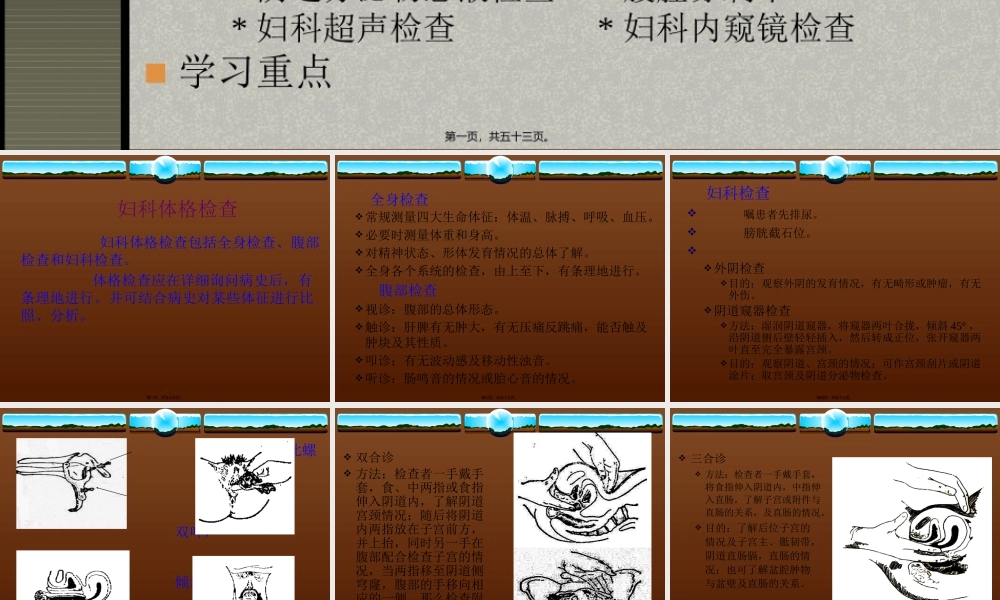 妇科体格检查讲诉.pptx