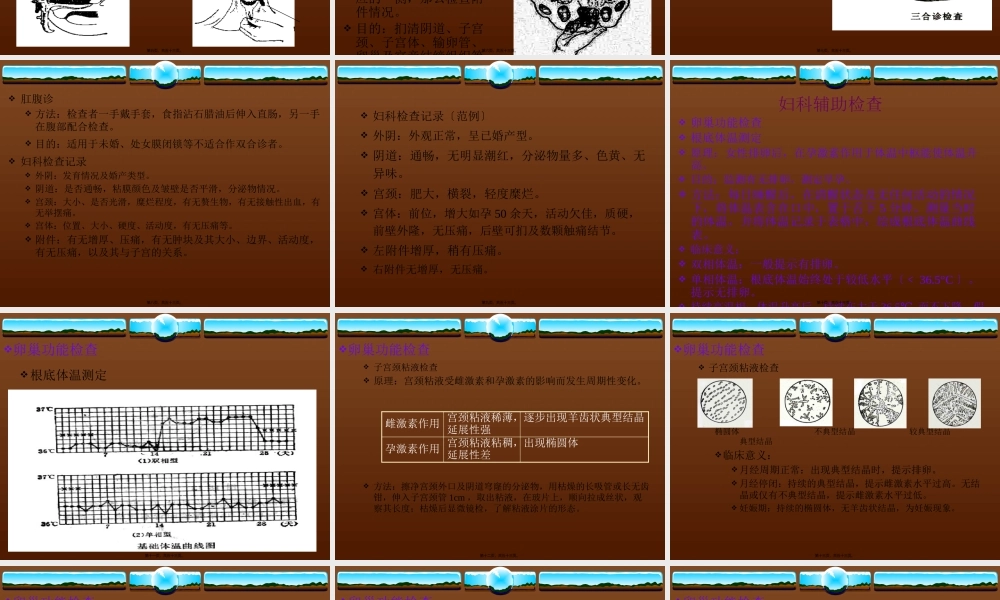 妇科体格检查讲诉.pptx