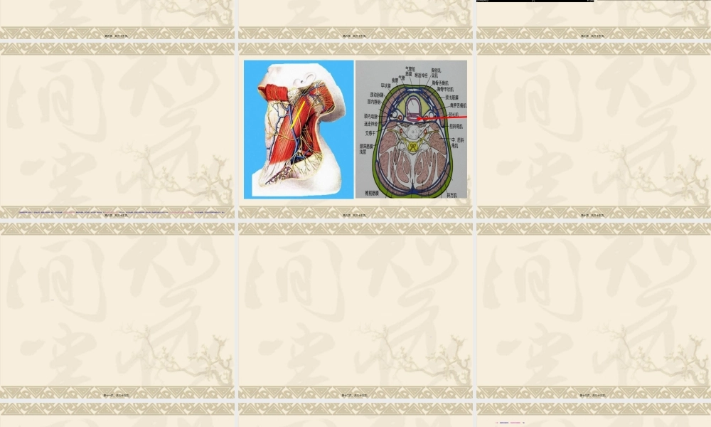 2022年医学专题—外伤性颈动脉破裂(1).ppt