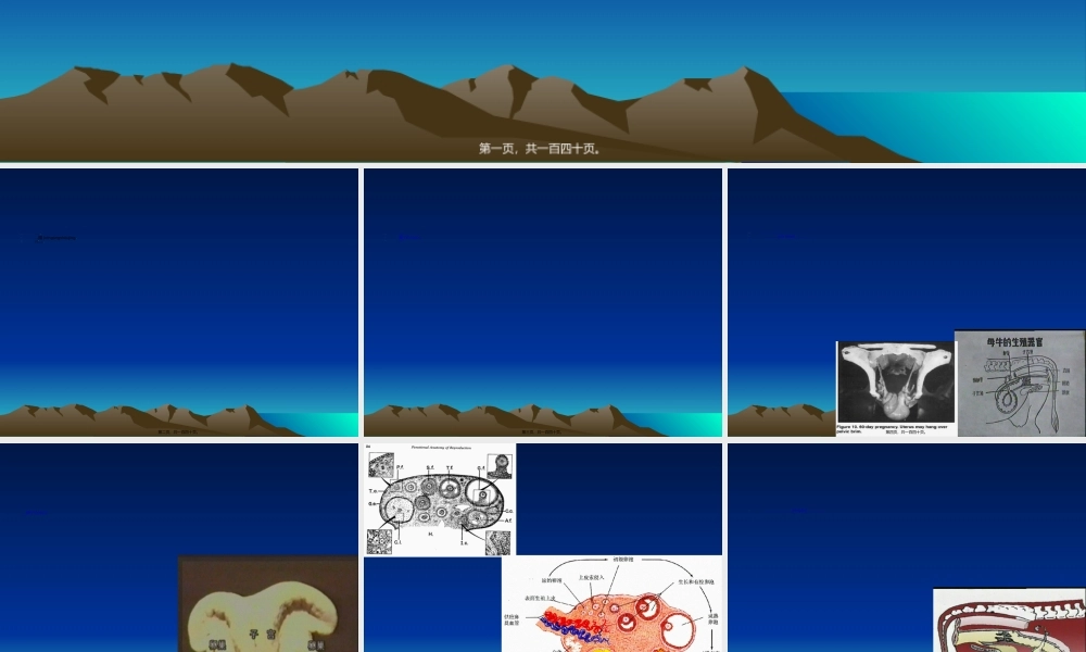 2022年医学专题—母牛的生殖生理(1).ppt