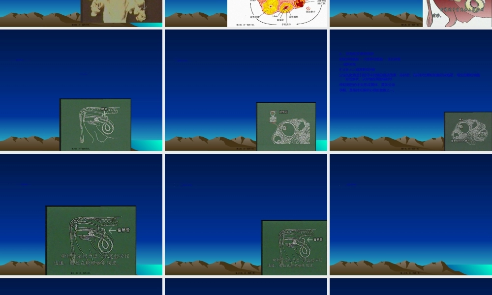 2022年医学专题—母牛的生殖生理(1).ppt