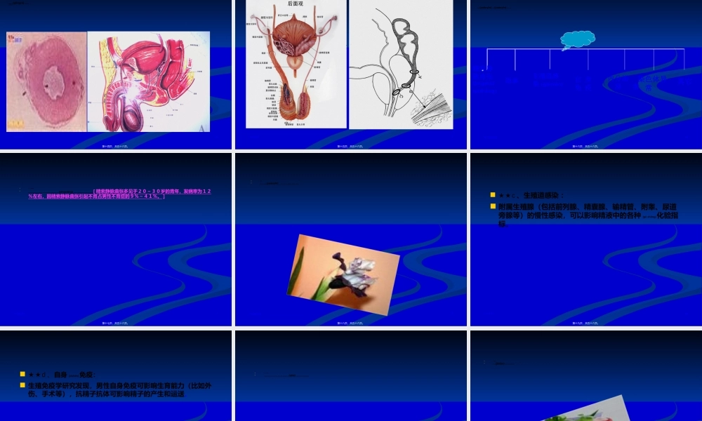 2022年医学专题—男性不育症原因之一男性少、弱精探索(1).ppt