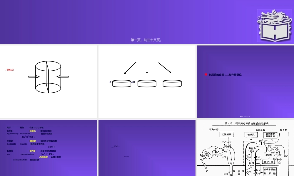 2022年医学专题—第28章-利尿药和脱水药(梁秋云)(1).ppt