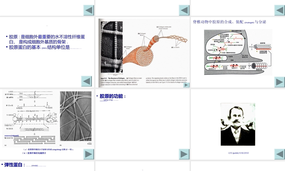 2022年医学专题—第二节--细胞外被和细胞外基(1).ppt