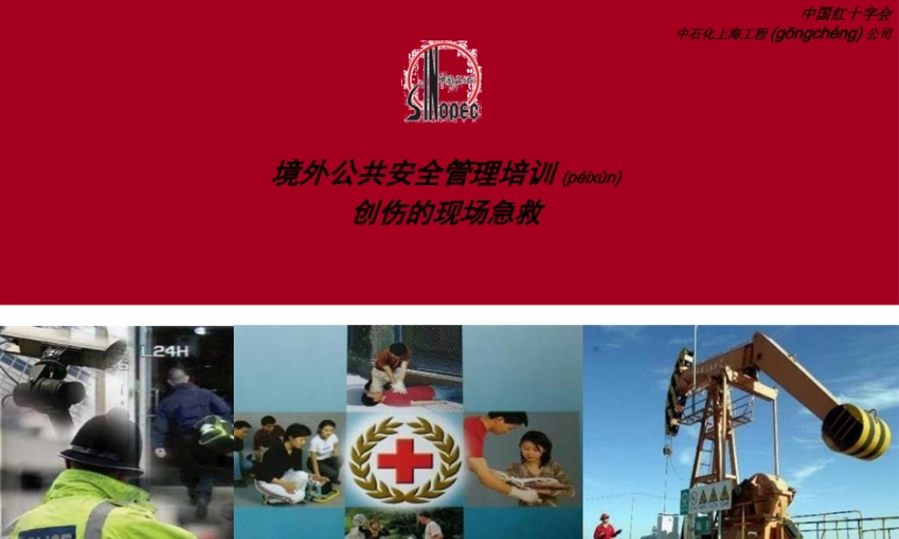 2022年医学专题—红十字创伤救护-0111(1).ppt