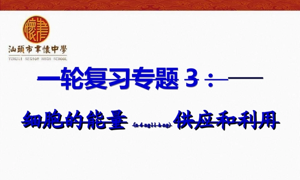 2022年医学专题—三细胞的能量供应和利用.ppt