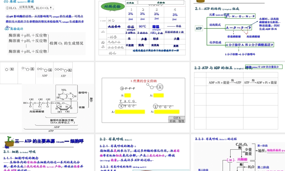 2022年医学专题—三细胞的能量供应和利用.ppt