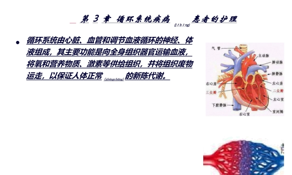 2022年医学专题—循环系统常见症状2(1).ppt