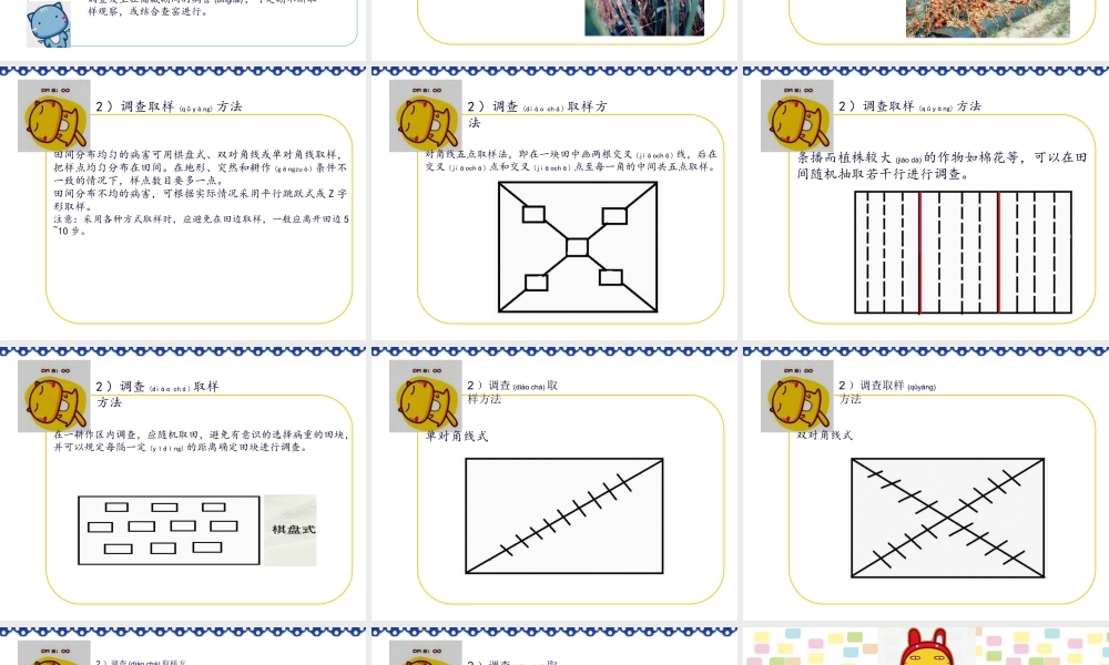 2022年医学专题—如何对植物病害进行田间调查.ppt
