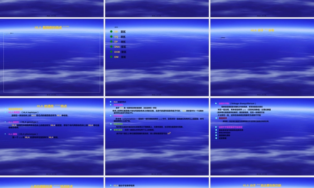 2022年医学专题—白细胞血型(1).ppt