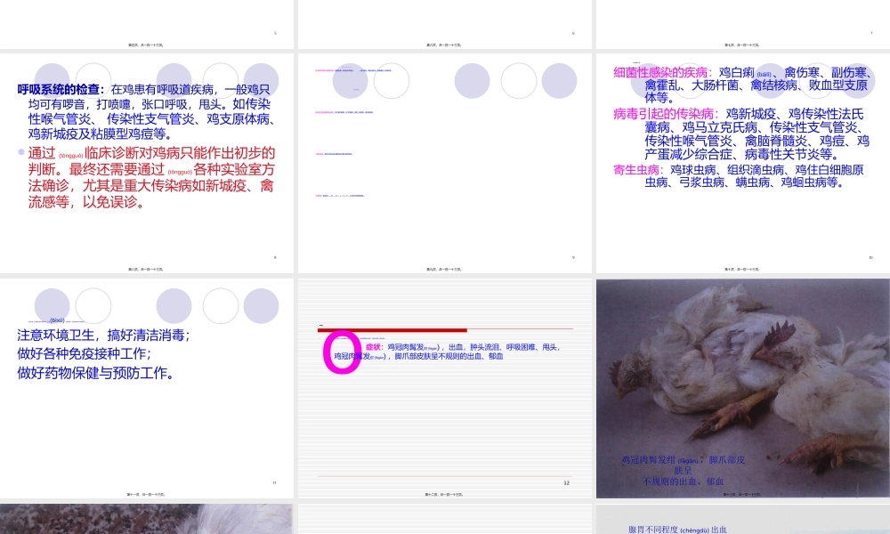 2022年医学专题—禽病防治要决(1).ppt