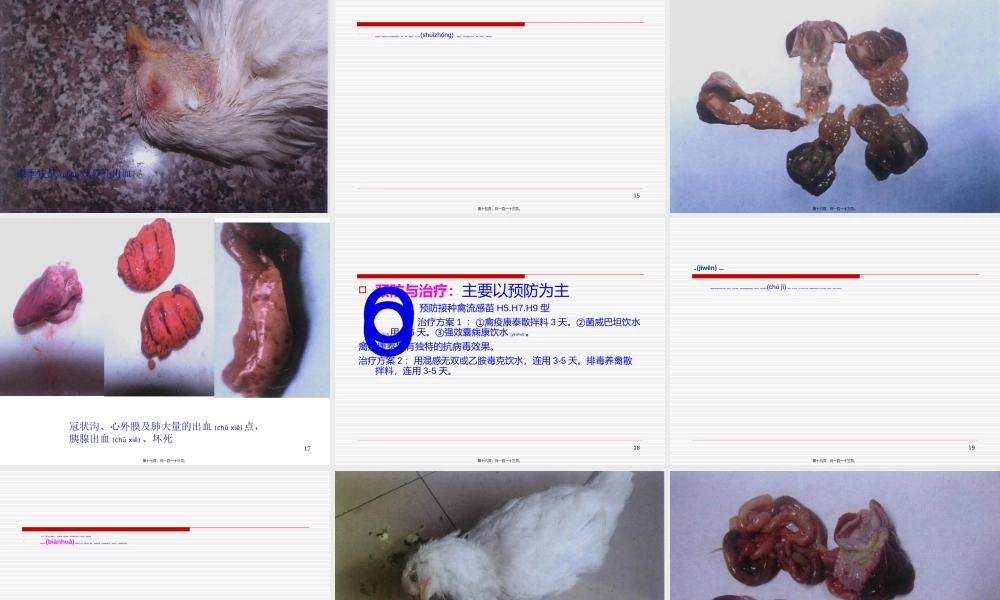 2022年医学专题—禽病防治要决(1).ppt