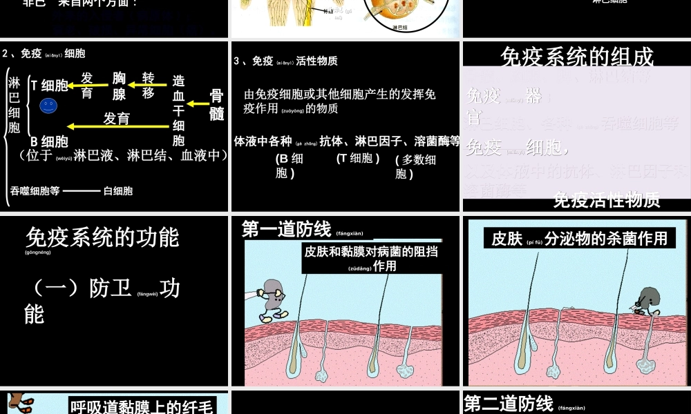 2022年医学专题—第三道防线免疫器官免疫细胞活性物质(1).ppt