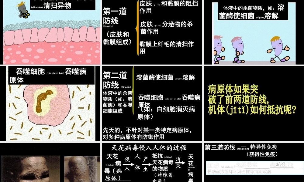 2022年医学专题—第三道防线免疫器官免疫细胞活性物质(1).ppt