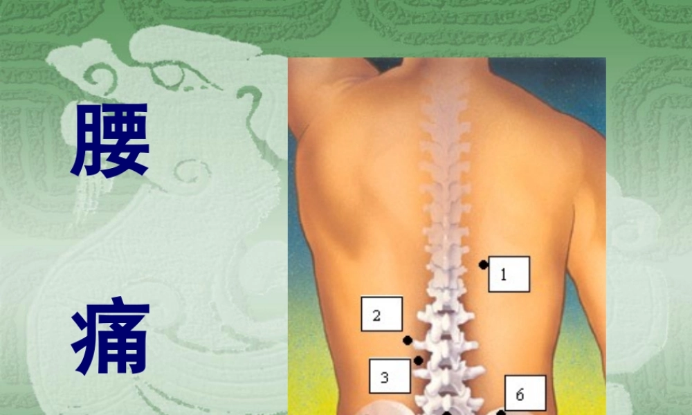 2022年医学专题—第五节--腰----痛(1).ppt