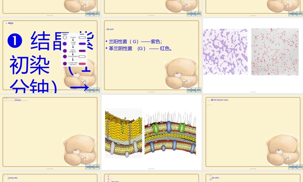 2022年医学专题—细菌检验技术全解(1).ppt