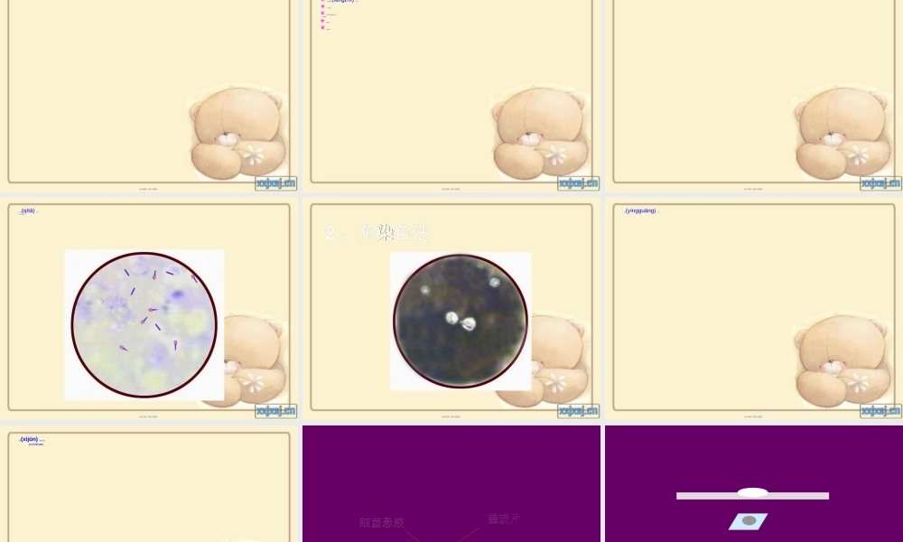 2022年医学专题—细菌检验技术全解(1).ppt