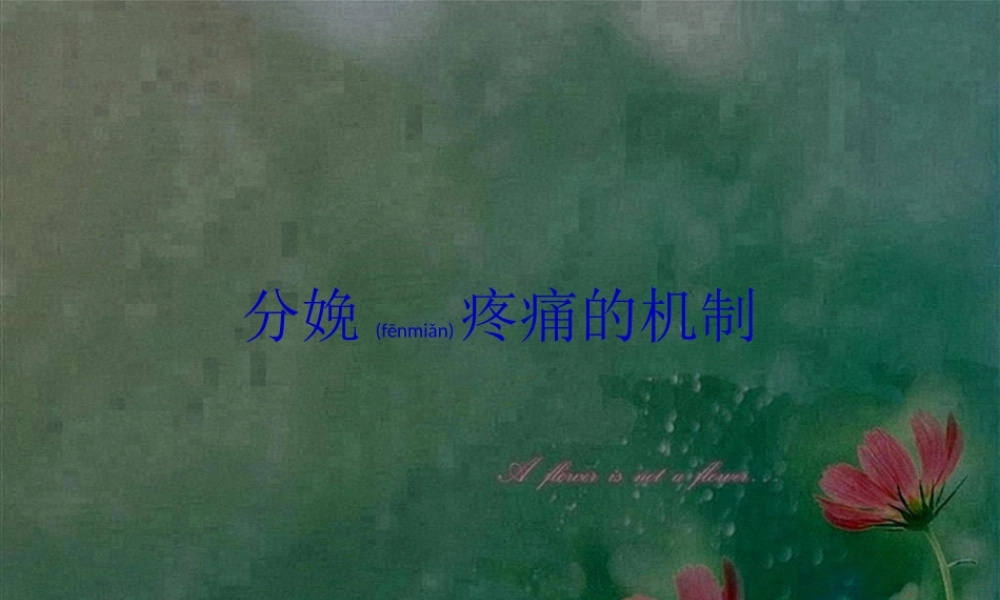 2022年医学专题—分娩疼痛的机制(1).ppt