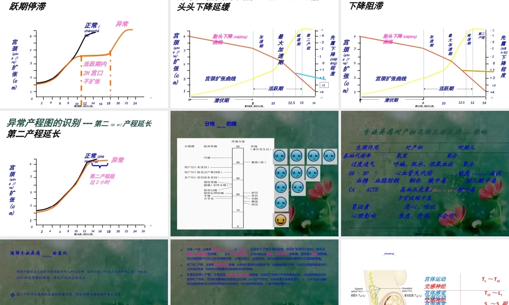 2022年医学专题—分娩疼痛的机制(1).ppt