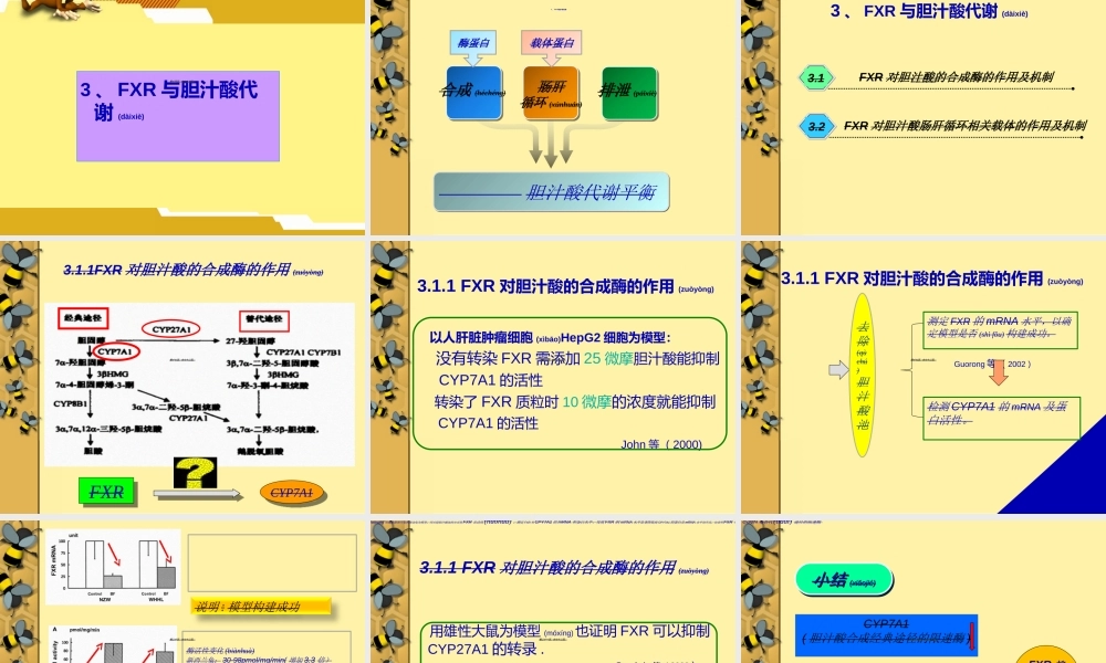 2022年医学专题—胆汁酸受体FXR与胆汁酸代谢(1).ppt