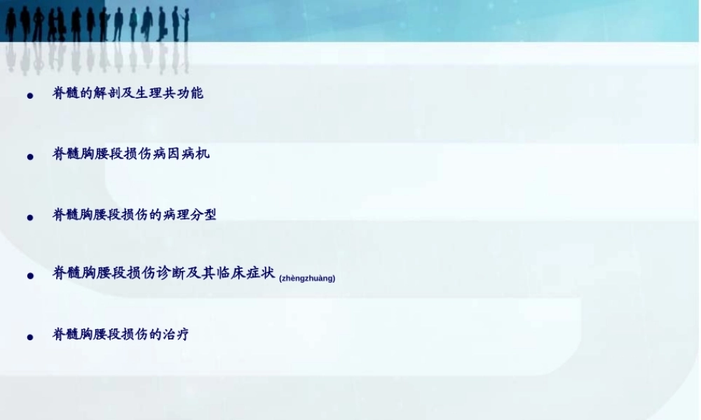 2022年医学专题—脊髓胸腰段损伤完整版.ppt