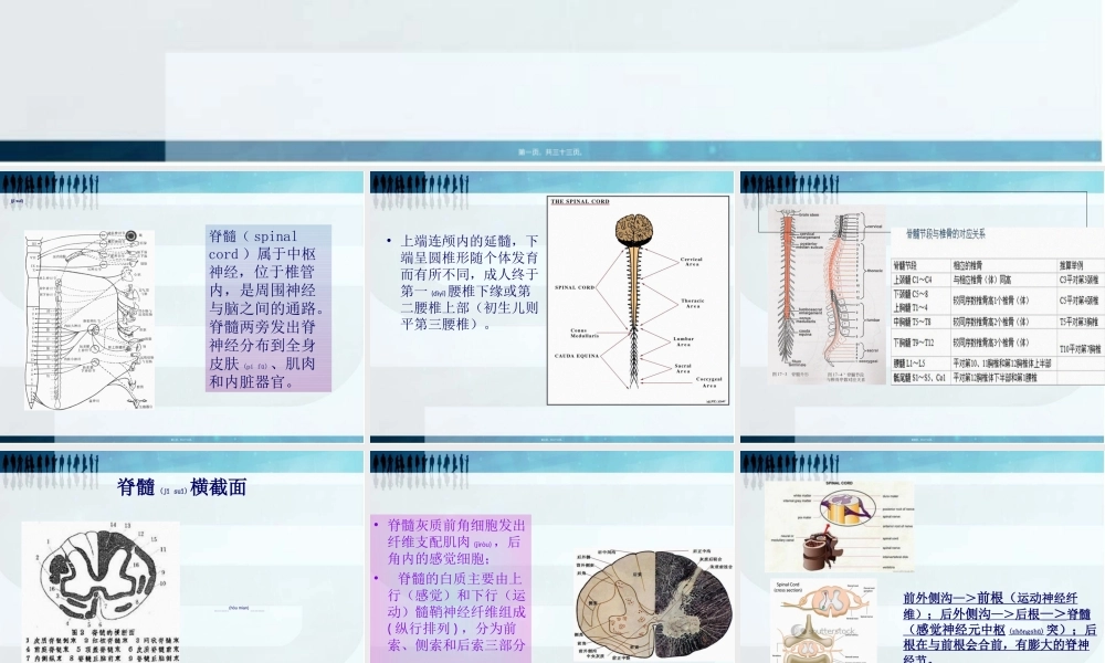 2022年医学专题—脊髓胸腰段损伤完整版.ppt