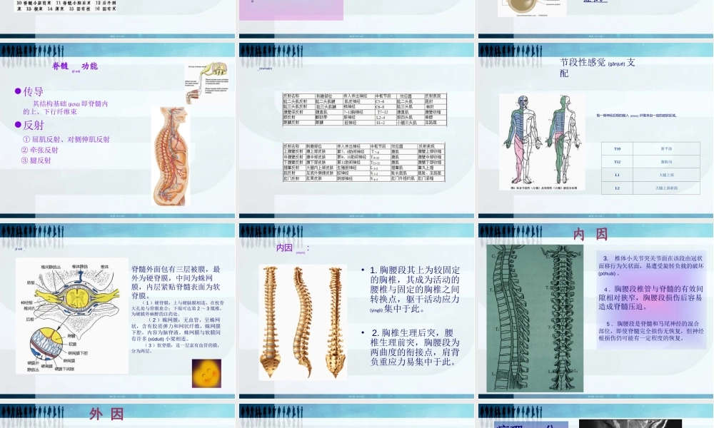 2022年医学专题—脊髓胸腰段损伤完整版.ppt
