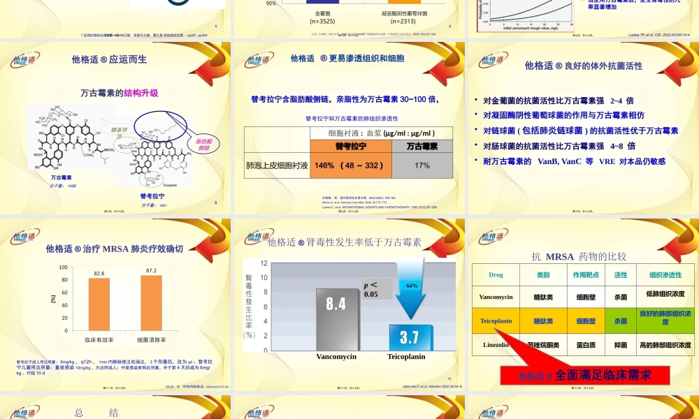他格适肺部感染推广科内会PPT-0105.pptx
