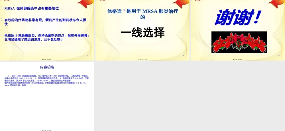 他格适肺部感染推广科内会PPT-0105.pptx