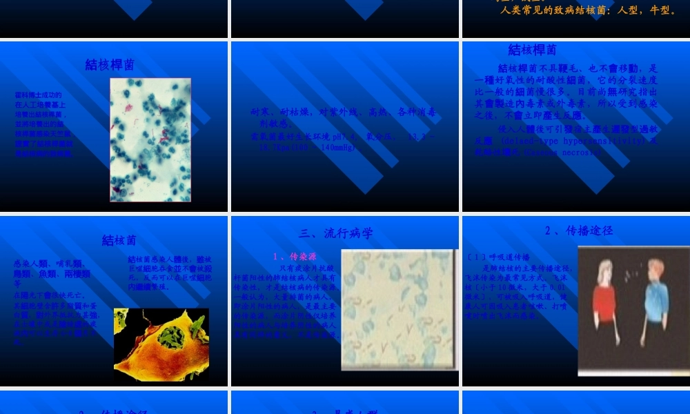 儿科结核病.pptx