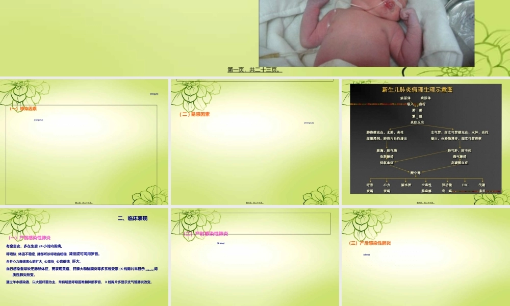 2022年医学专题—新--生--儿--肺--炎(1).ppt