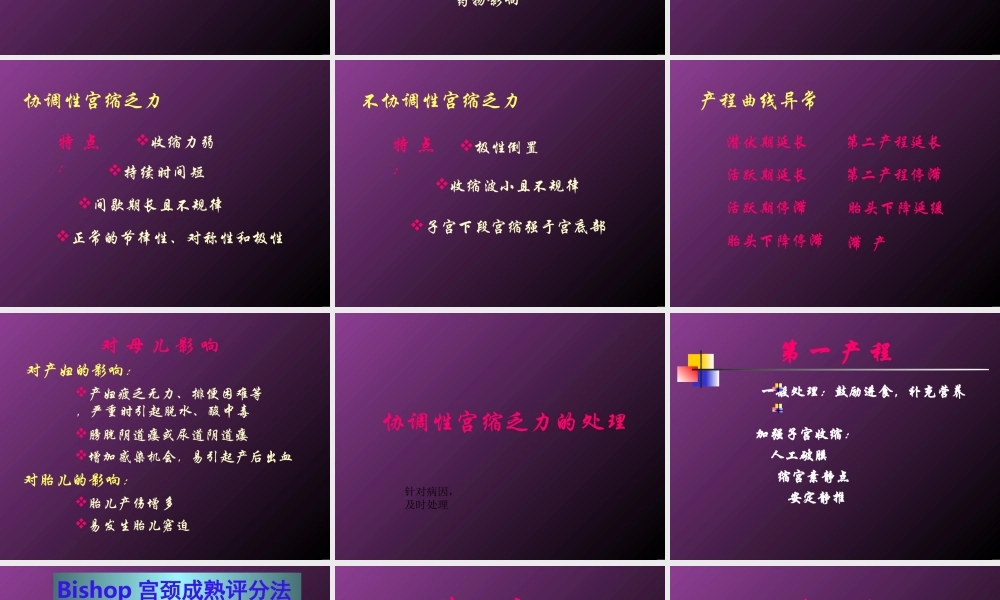 坐骨结节间径7cm内诊.ppt