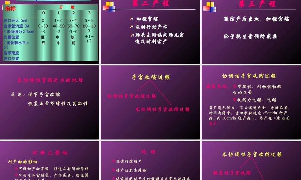 坐骨结节间径7cm内诊.ppt