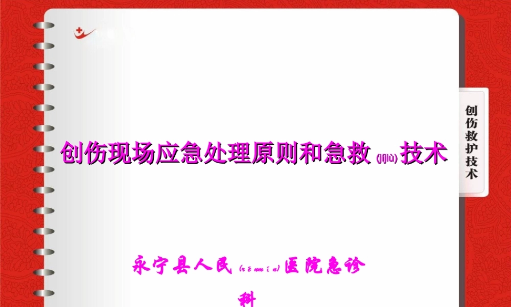 2022年医学专题—创伤处理原则.ppt